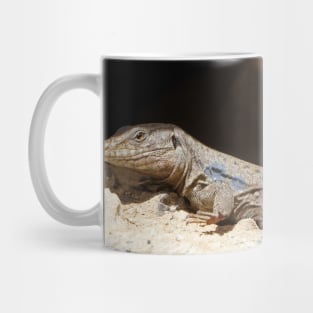 Gallotia Galloti (Male Tenerife Lizard) Mug